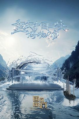 SEO新站文章发布多少